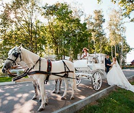 Партнерская площадка